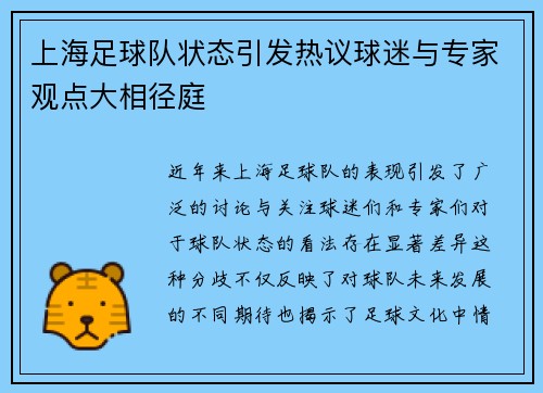 上海足球队状态引发热议球迷与专家观点大相径庭
