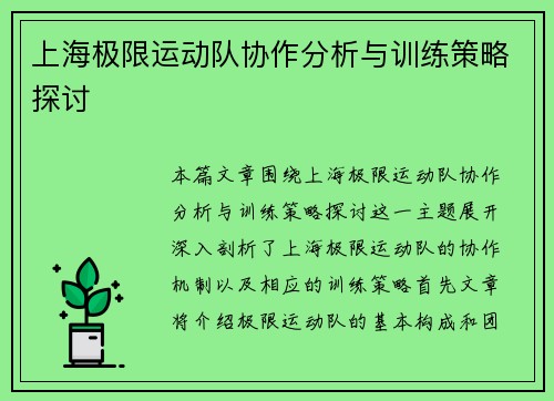上海极限运动队协作分析与训练策略探讨