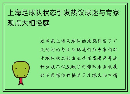 上海足球队状态引发热议球迷与专家观点大相径庭