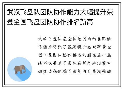 武汉飞盘队团队协作能力大幅提升荣登全国飞盘团队协作排名新高